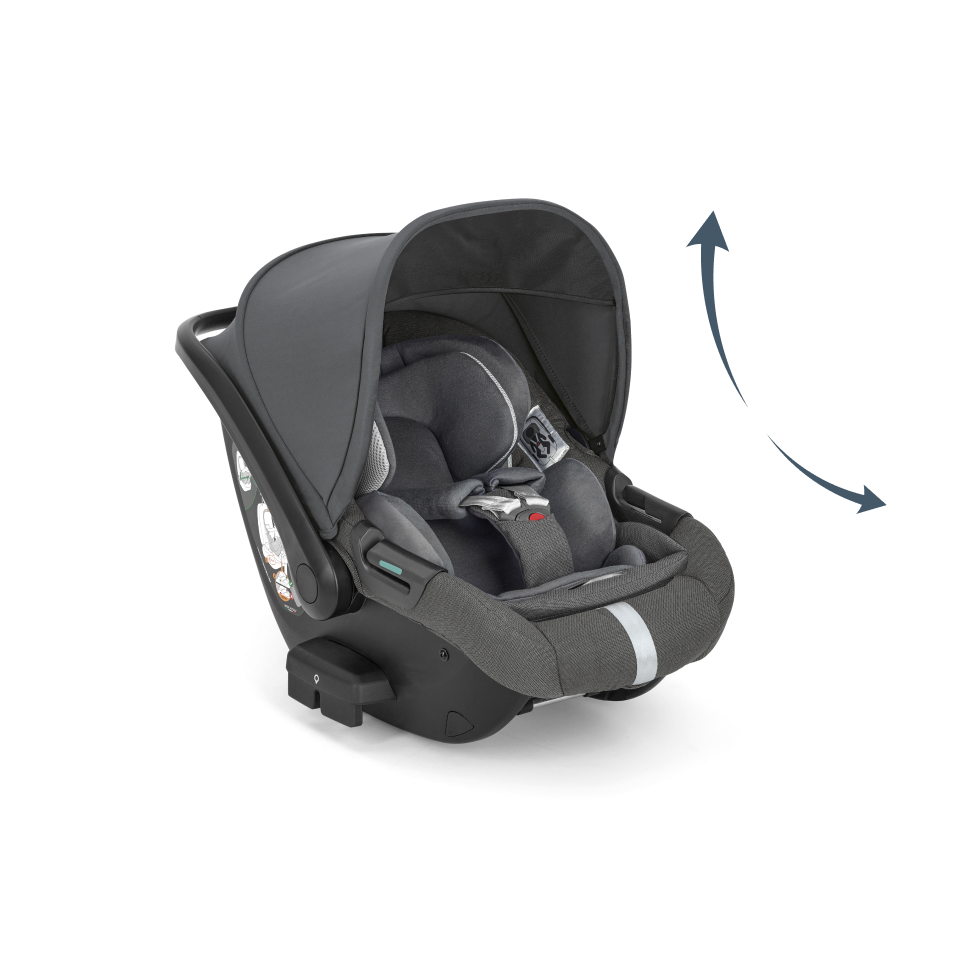 Inglesina Ovetto Reclinabile Darwin Infant Recline Recensioni